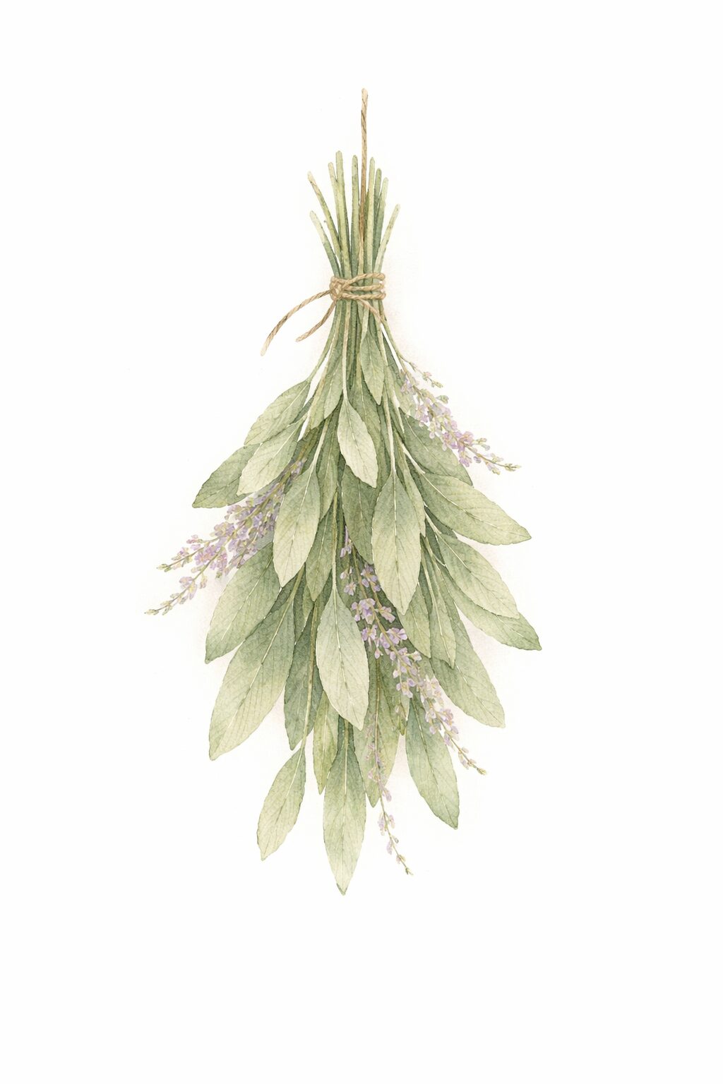 Between Coop & Kitchen